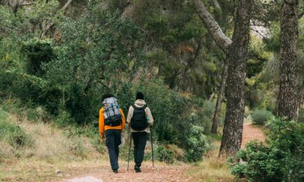 Trek : le bon choix des vêtements