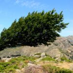 Réussir le GR20 en Corse