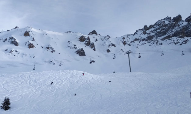 Ski Force Pro Test : les nouveautés skis alpin 2020-2021