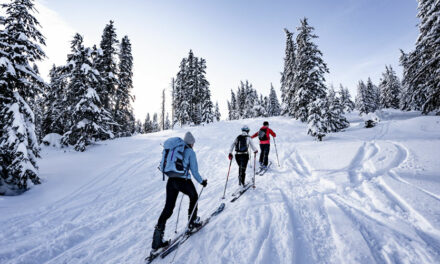 Comment bien s’habiller pour le ski de randonnée ?