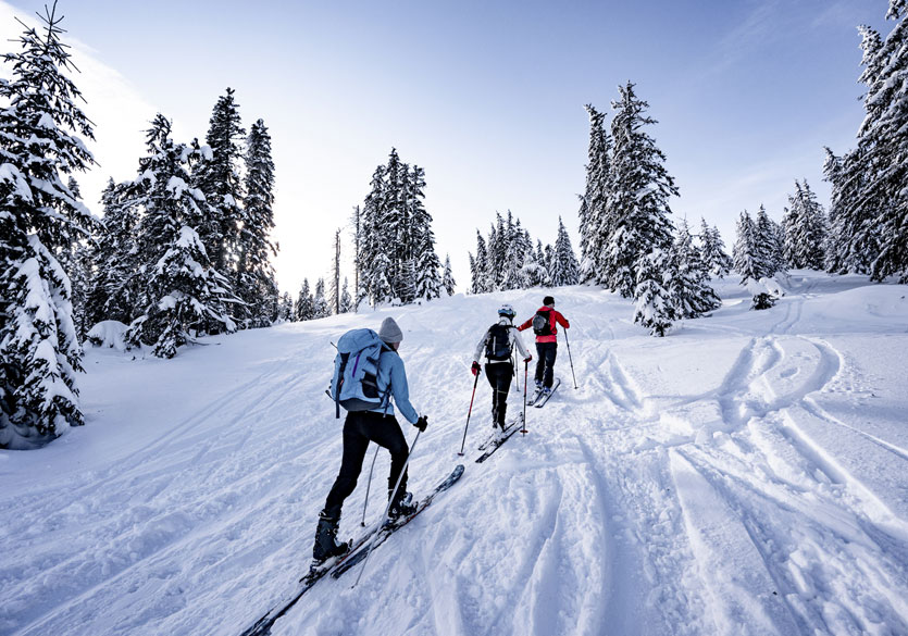 Comment bien s’habiller pour le ski de randonnée ?