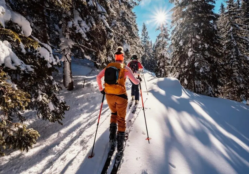 Top 10 des documentaires de montagne made in Alpes