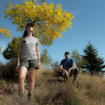 T-shirt Icebreaker laine mérinos : quel modèle choisir ?