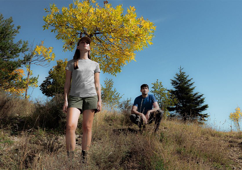 T-shirt Icebreaker laine mérinos : quel modèle choisir ?