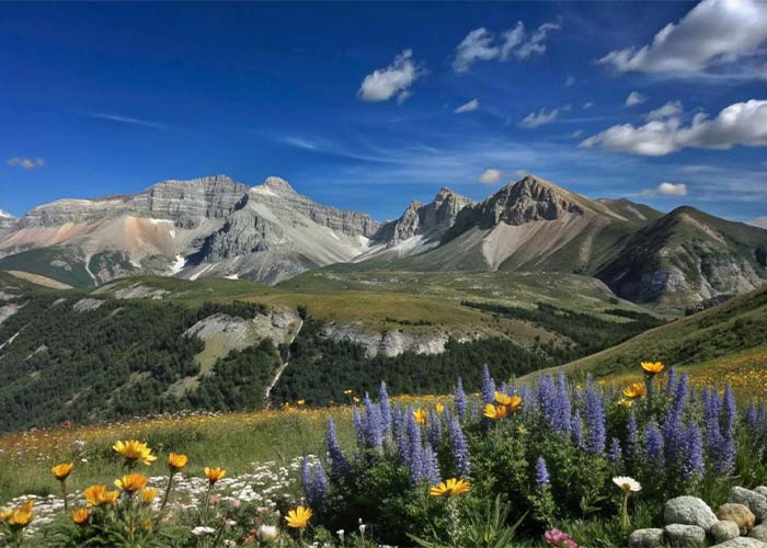 Massif montagne en été