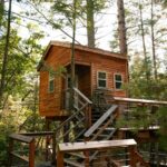 Nuits nature : tente ou cabane perchée ?