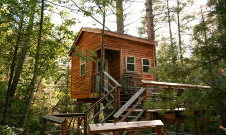 Nuits nature : tente ou cabane perchée ?