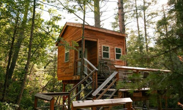 Nuits nature : tente ou cabane perchée ?