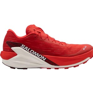salomon-slab-pulsar-4