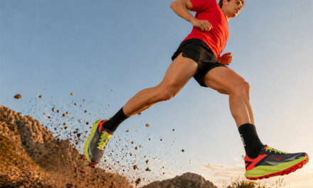 TOP 5 chaussures trail court 2026