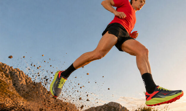 TOP 5 chaussures trail court 2026