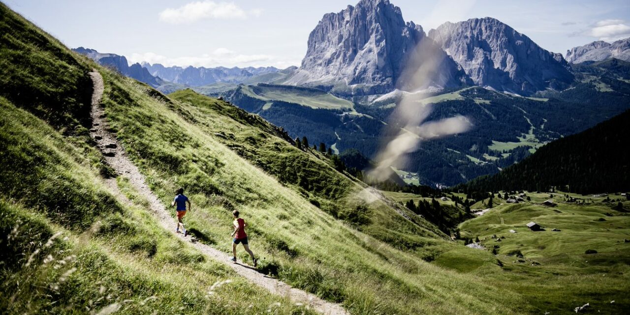 Trail 6000D – informations et conseils