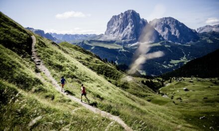 Trail 6000D – informations et conseils
