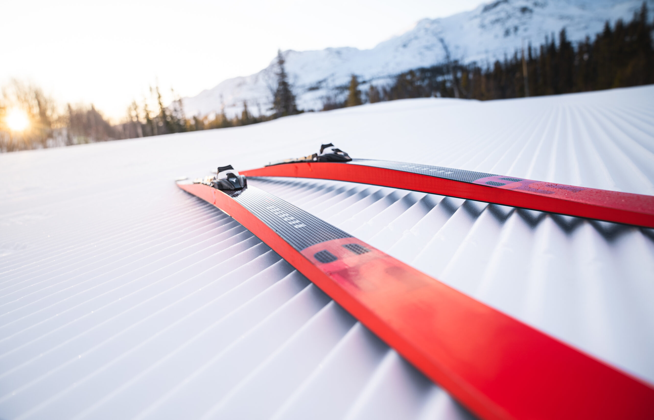 REDSTER_NORDIC_ski_skating
