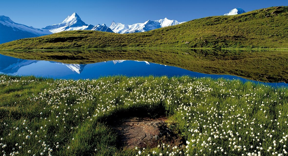 Trail Blanc du Semnoz – informations et conseils