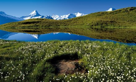 Trail Blanc du Semnoz – informations et conseils