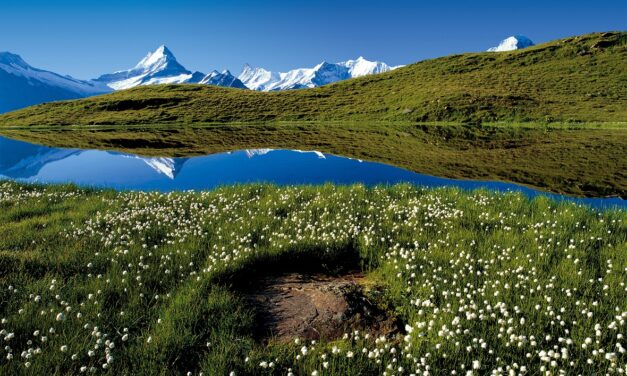 Trail Blanc du Semnoz – informations et conseils
