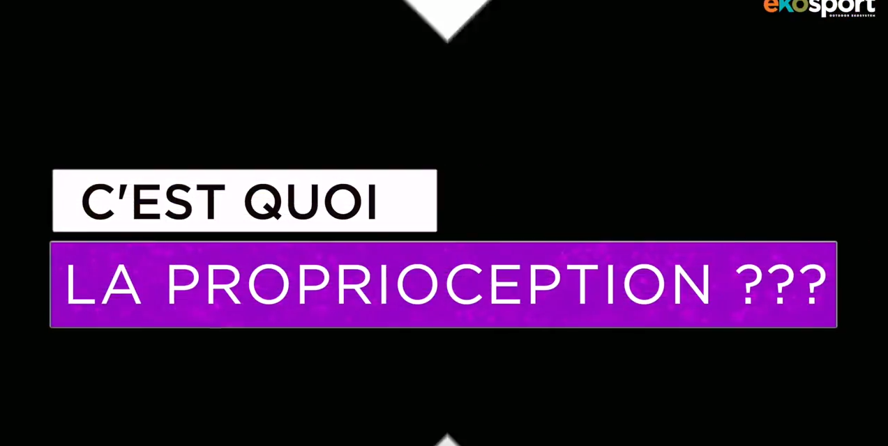 Renforcer ses chevilles avec la proprioception
