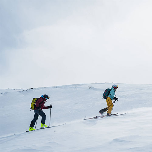 Équipement de ski de randonnée - Black Friday Ekosport